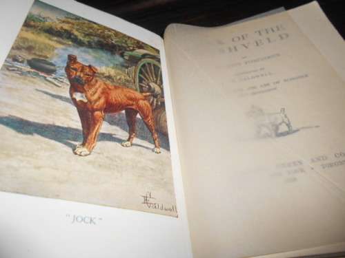 JOCK OF THE BUSHVELD - SIR PERCY FITZPATRICK - Longmans 1928 illus school  softback
