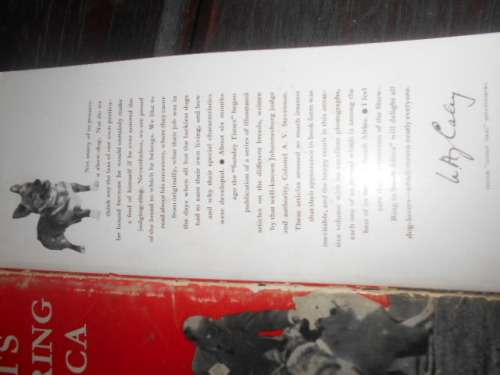 Aristocrats of the Show-Ring in South Africa - Author: Lt,-Col. Alex V. Stevenson illus dog photos