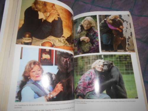 A CHIMPANZEE IN THE WINE CELLAR - PAT CAVENDISH O`NEILL SOFTBACK 2012