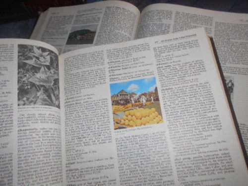 2 volumes  I AND II  ENCYCLOPAEDIA Britannica MICROPADIA REFERENCES & INDEX 1980