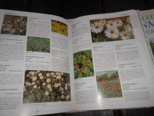 VOLLEDIGE TUINMAAK IN SUIDER-AFRIKA  GEILLUS  1995 1STE ED - WG SHEAT & GERALD SCHOFIELD