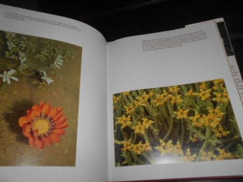 NAMAQUALAND - GARDEN OF THE GODS - FREEMAN PATTERSON 1995 hardb