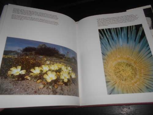 NAMAQUALAND - GARDEN OF THE GODS - FREEMAN PATTERSON 1995 hardb