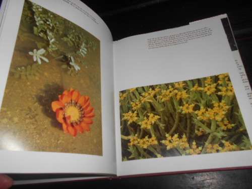 NAMAQUALAND - GARDEN OF THE GODS - FREEMAN PATTERSON 1995 hardb