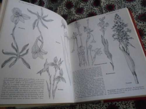 DOUGLAS HEY - NATUURERFENIS OXFORD UNIV 1971 GEILLUS HARDEBAND