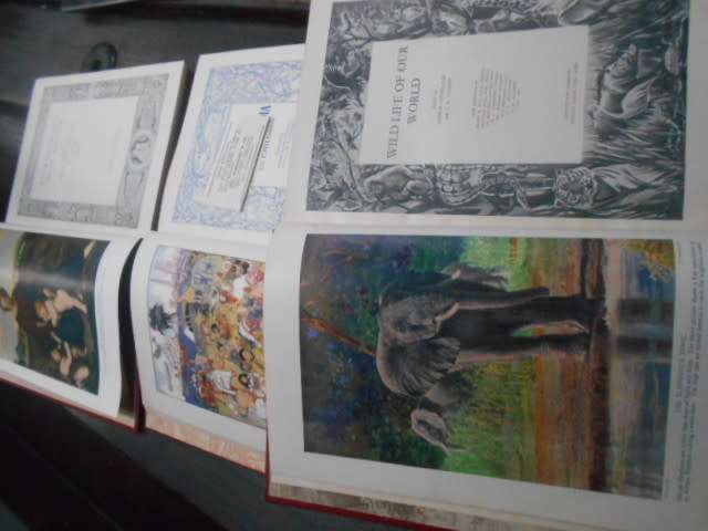 3 RARE 1934 BOOKS  IN BOX - MODERN ENCYCL FOR CHILD,  EVERYWOMANS HOMEDOCTOR,  WILDLIFE OF WORLD