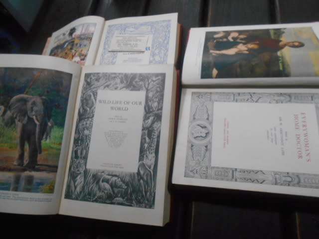 3 RARE 1934 BOOKS  IN BOX - MODERN ENCYCL FOR CHILD,  EVERYWOMANS HOMEDOCTOR,  WILDLIFE OF WORLD