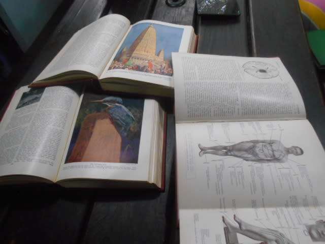 3 RARE 1934 BOOKS  IN BOX - MODERN ENCYCL FOR CHILD,  EVERYWOMANS HOMEDOCTOR,  WILDLIFE OF WORLD
