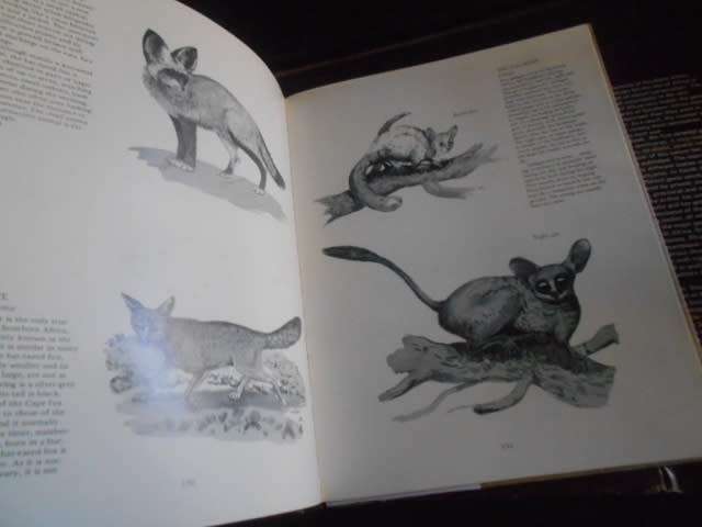 DAVID STEELE - GAME SANCTUARIES OF SOUTHERN AFRICA illus Howard Timmins 1972