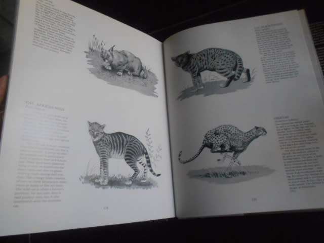 DAVID STEELE - GAME SANCTUARIES OF SOUTHERN AFRICA illus Howard Timmins 1972