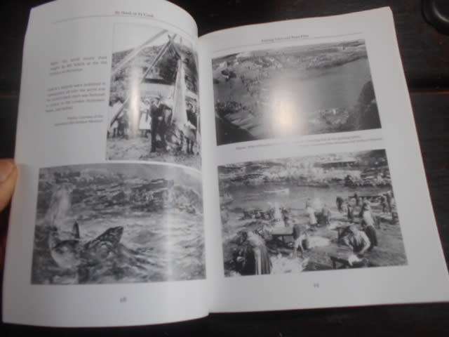 M Diemont - By Hook or by Cook - Fishing Tales & Braai Fires, (Potberg Arniston- illus T Grogan