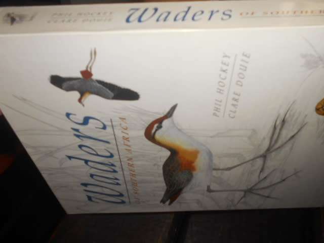 Waders of Southern Africa` - Phil Hockey FIRST EDITION STRUIK WINCHESTER BOOK IN BOX