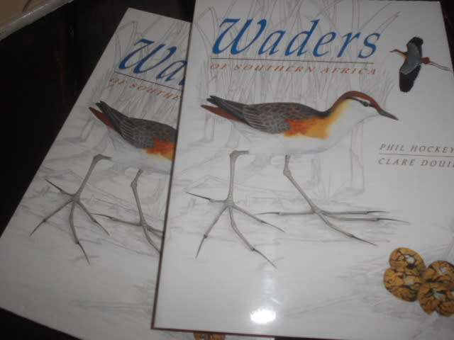 Waders of Southern Africa` - Phil Hockey FIRST EDITION STRUIK WINCHESTER BOOK IN BOX