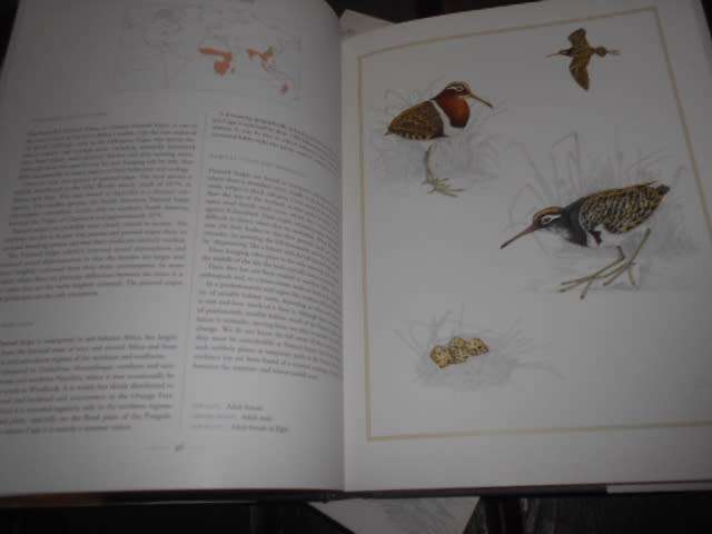 Waders of Southern Africa` - Phil Hockey FIRST EDITION STRUIK WINCHESTER BOOK IN BOX