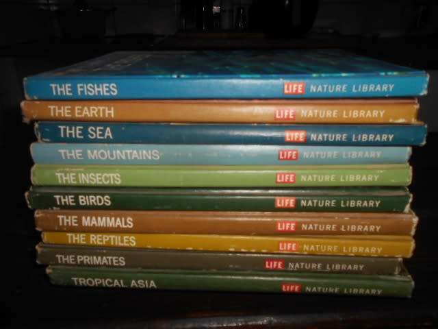 LIFE NATURE LIBRARY 9 ILLUS BOOKS -Fishes, The Sea, Earth,  primates, Mountains, Insects etc.