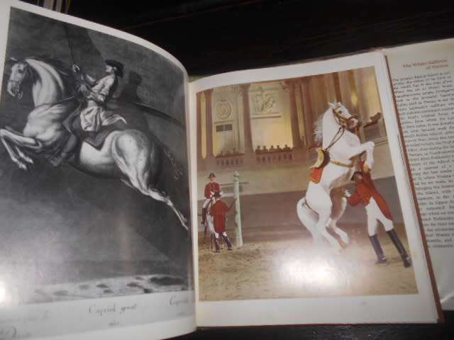 THE WHITE STALLIONS OF VIENNA A PODHAJSKY / F HOGARTH-GAUTE (LIPIZZANER) 1963 1st Edition
