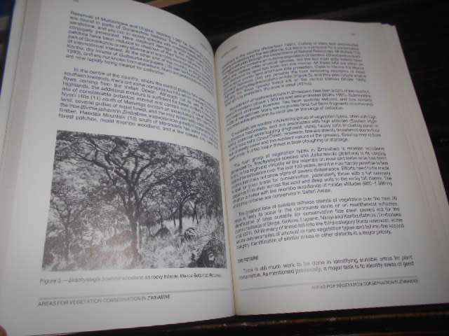 BOTANICAL DIVERSITY IN SOUTHERN AFRICA - (STRELITZIA 1-  BJ HUNTLEY, EDITOR