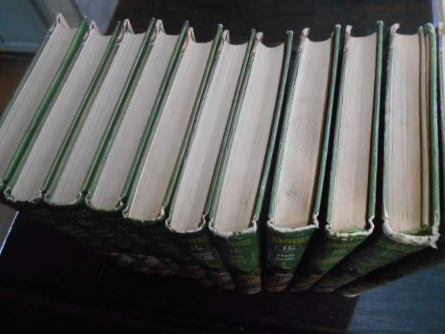 Kinder-Kultuurvereniging  11 uit 12 volumes  DIE NUWE SKATKIS ROY STEVENS