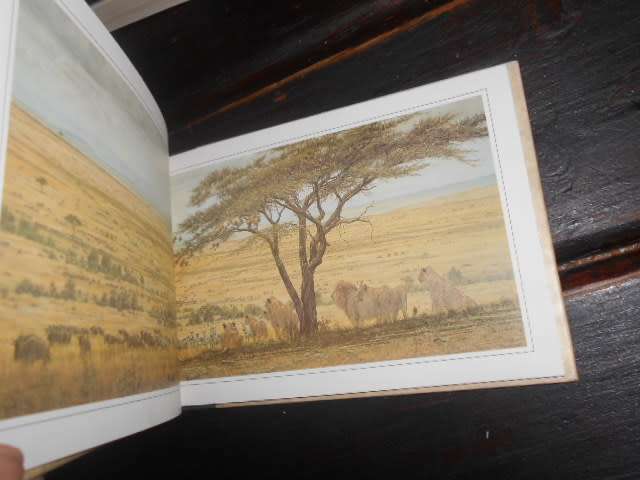The Pleasures of Safari Adventure: A Pavilion Companion (The Pleasures Of. Series) 1991 illus
