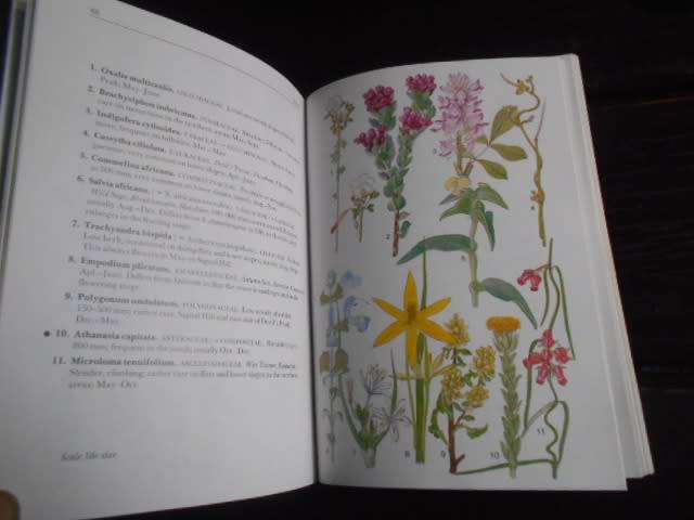 CAPE PENINSULA SA Wild Flower Guide 3  bot society softb M Maytham Kidd