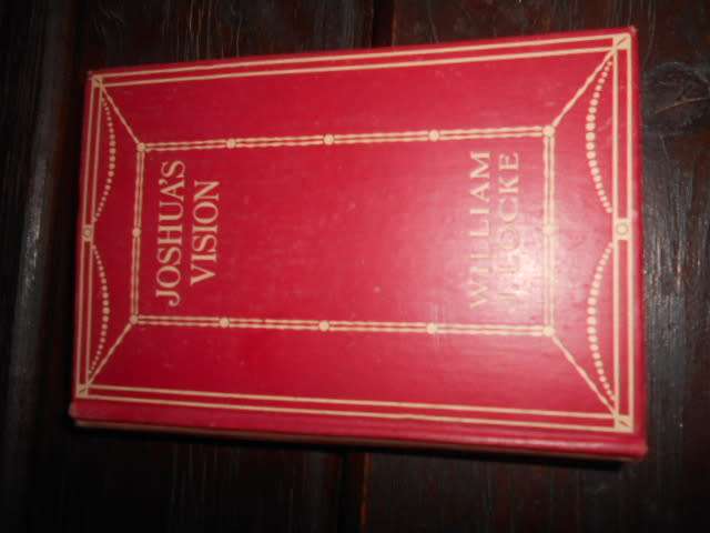 JOSHUA'S VISION - William J Locke -  1928 1st ed Bodley Head novel