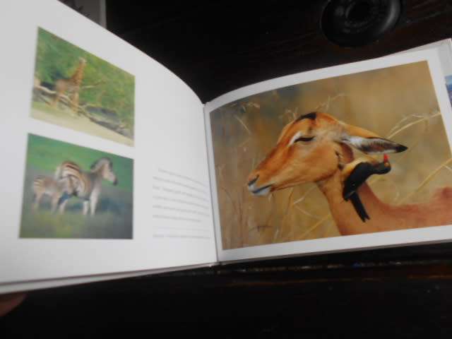 KWAZULU-NATAL SOUTH AFRICA ART PUBLISHERS SMALL PICTURE BOOK
