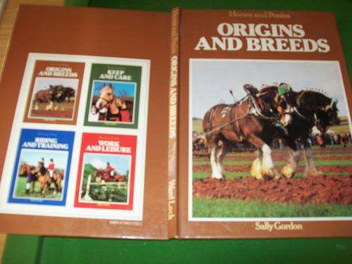 HORSES & PONIES -ORIGINS AND BREEDS - 1st ed illus SALLY GORDON WARDLOCK- Thompson, Sally Anne