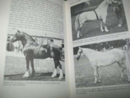illus 1st ed HORSE BOOK GUIDE- STABLE MANAGEMENT FOR  OWNER-GROOM BY GEORGE WHEATLEY