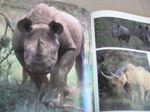 ANTHONY BANNISTER FOTOGRAFIE WILDE DIERE VAN SUID-AFRIKA teks deur JOHN SKINNER