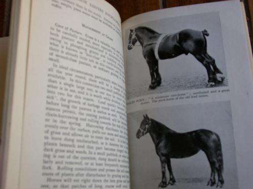 WALTER'S HORSE KEEPERS ENCYCLOPEDIA ILLUS DRAWINGS & B&W PHOTOS