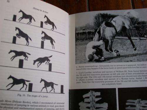 RH SMYTHE(VETINARY SURGEON) - HORSES IN ACTION - ILLUS shape of horse 1964 ED