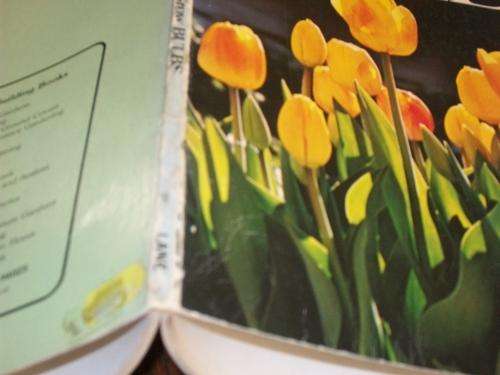 HOW TO GROW BULBS-  Encyclopedia of bulbs - ILLUS  SUNSET BOOK - Holland bulb garden etc.