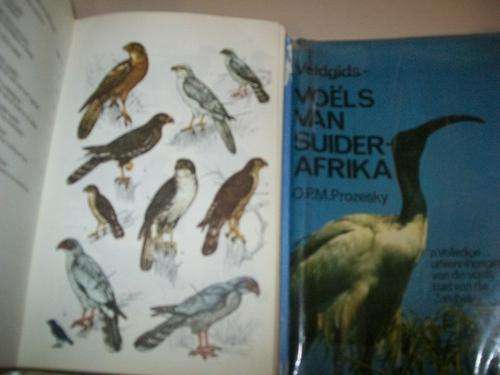 OPM PROZESKY - VOELS VAN SUIDER AFRIKA UITKENNINGS VOEGIDS 40 FINDLAY ILLUS VOELINDEKS 1982 ED STOFO
