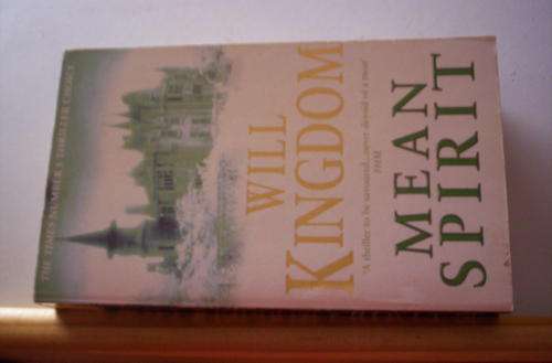 MEAN SPIRIT WILL KINGDOM CODE N143