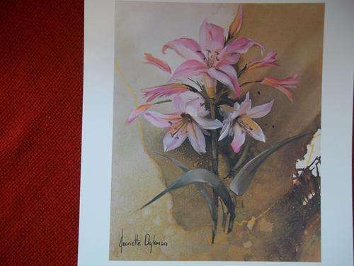 5x Flower Reproductions from 5x Origional Oils by Jeanette Dykman, FREE POSTAGE!!!