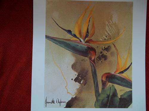 5x Flower Reproductions from 5x Origional Oils by Jeanette Dykman, POSTAGE R30 FOR THE SET