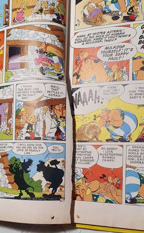 ASTERIX AND SON