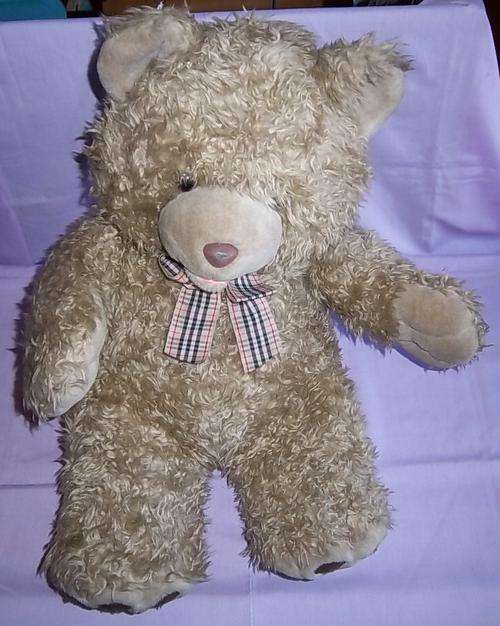 A BIG TEDDY BEAR