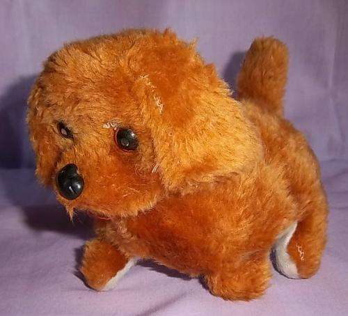 A SMALL DOG THAT MOVES AND HAS GREEN EYES