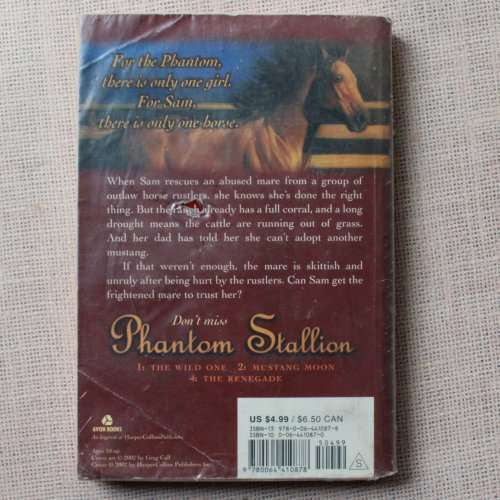 Phantom Stallion Book 3 - Dark Sunshine by Terri Farley