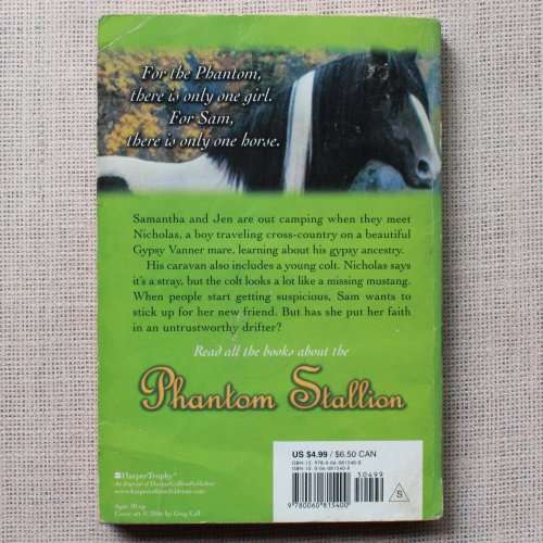Phantom Stallion Book 23 - Gypsy Gold by Terri Farley