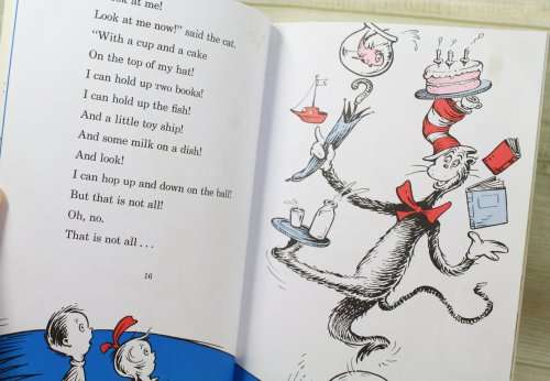 The Cat in the Hat - Dr Seuss