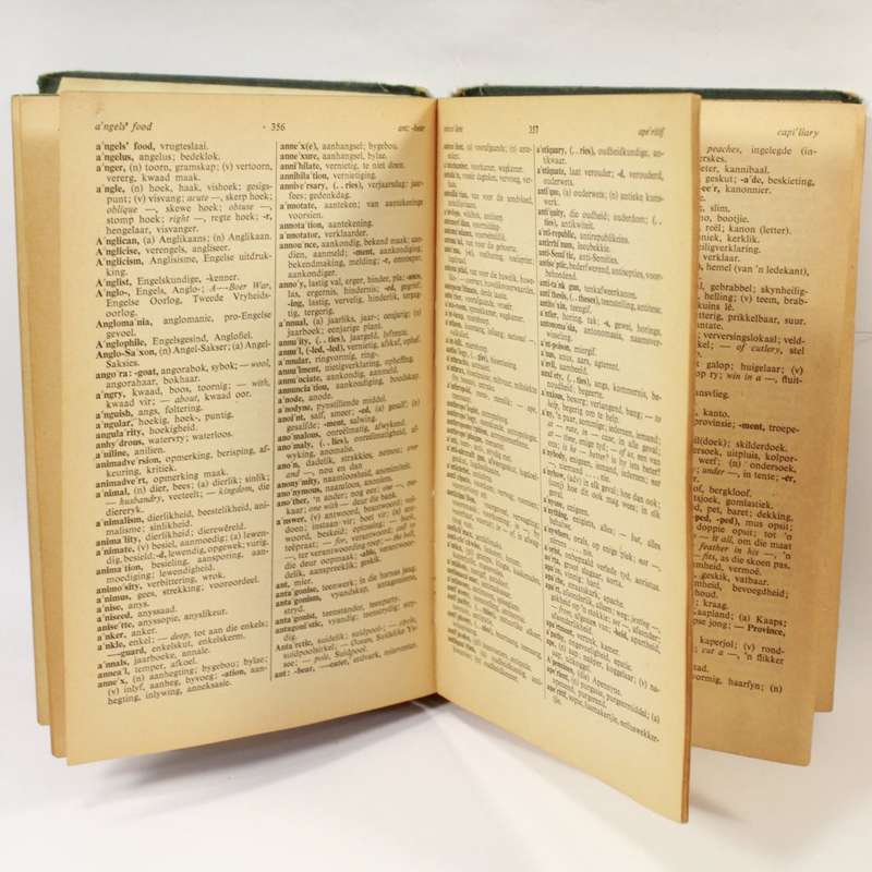 Skoolwoordeboek School Dictionary - Kritzinger Steyn