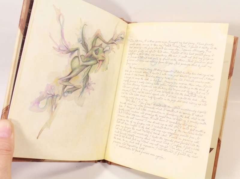 Lady Cottington`s Pressed Fairy Book - Terry Jones