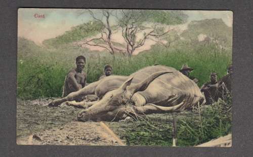 VINTAGE  POSTCARD by SALLO EPSTEIN & Co  No 2.... CIRCA 1900.... Condition good