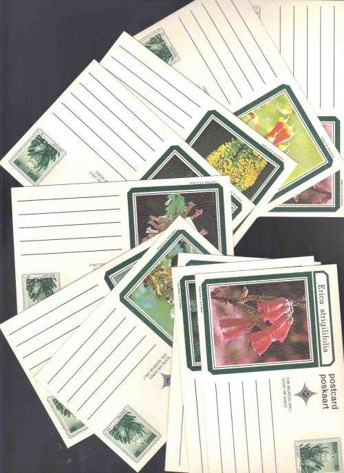 RSA SAPO Postcards x 10 ... Ericas 8c  Unused