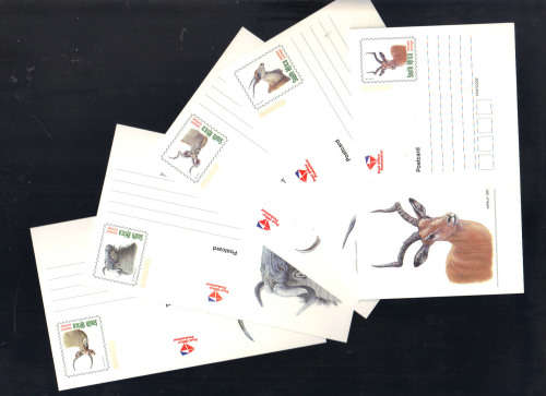 RSA Postcards ... SAPO .. Complete Set of 5  ... Antelope ... Clean Unused Phosper Band