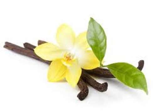 0mg VANILLA 30ml from Ecigsmokeonline