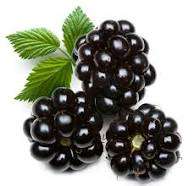30ML BLACKBERRY E LIQUID