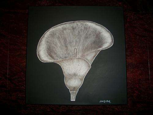 "The Calla Lilly" black ink on white stretched canvas 510mm x 510mm, part of the 'Flora Collection'
